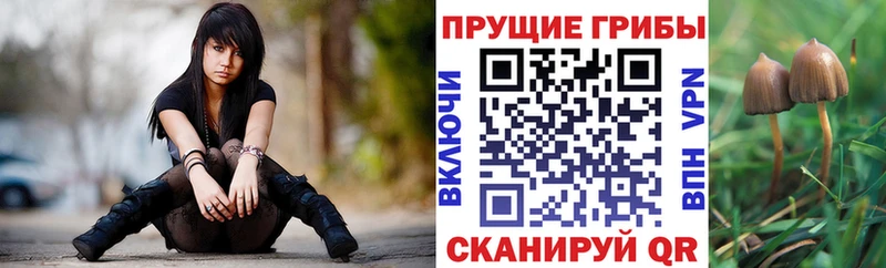 Галлюциногенные грибы Magic Shrooms  Купить где  Учалы 